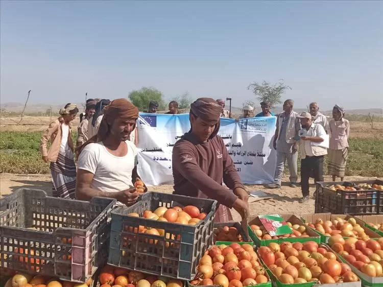 أخبار المحافظات - بالشراكة مع الاتحاد الأوروبي.. الصندوق الاجتماعي يقيم اليوم الحقلي للمزا...