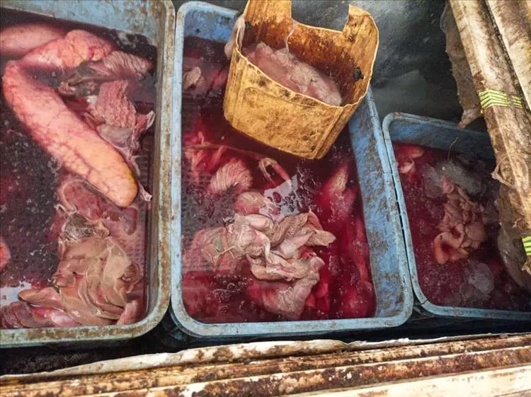 حملة تفتيشية تغلق عدد من مطابخ تحضير وجبات الكراش " أحشاء الأسماك " بسبب مخالفات صحية بمدينة الشحر