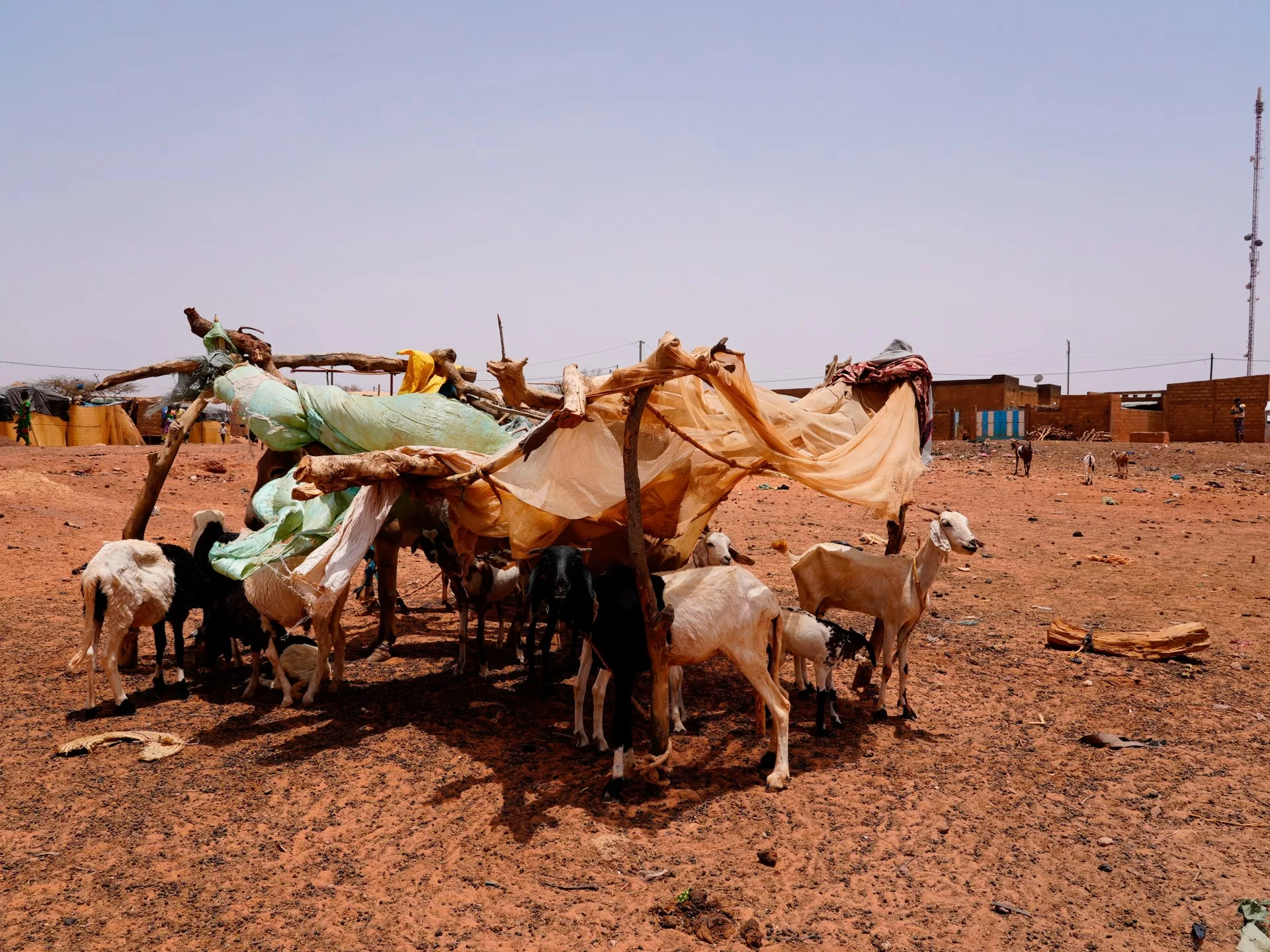 نحو 8 ملايين نازح في أفريقيا عام 2024 بسبب تغير المناخ