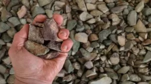 TMC لجمع 37 مليون دولار من خلال العرض المباشر للتقدم