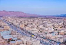 الكلاب الضالة تهاجم حظيرة في رضوم شبوة وتفترس 52 رأس غنم في ليلة واحدة