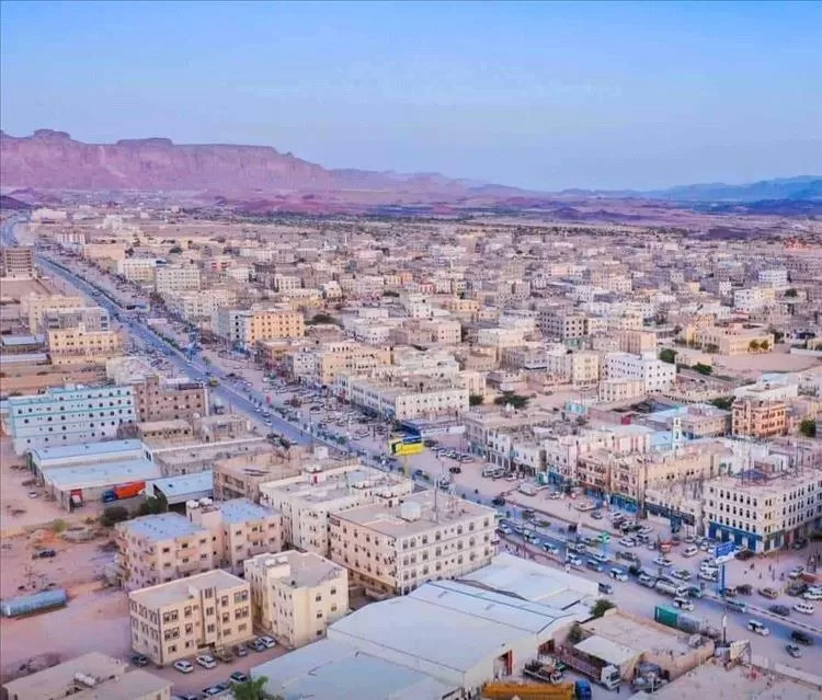 الكلاب الضالة تهاجم حظيرة في رضوم شبوة وتفترس 52 رأس غنم في ليلة واحدة