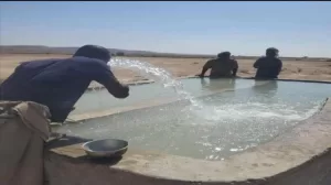 أخبار المحافظات – المهرة تشهد إنجاز أكبر مشروع مياه في الغيضة لتعزيز الخدمة وتلبية احتياجات السكان