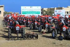 أخبار المحافظات – بدعم كويتي وتنفيذ “التواصل للتنمية الإنسانية”.. توزيع 100 حراثة يدوية لصغار المزارعين في سقطرى