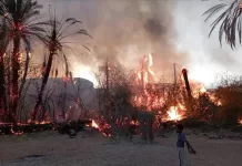 حريق هائل يلتهم أكثر من 150 نخلة في مديرية ساه بحضرموت