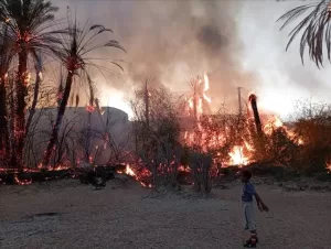 أخبار المحافظات – حريق هائل يلتهم أكثر من 150 نخلة في مديرية ساه بحضرموت