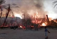 حريق يلتهم 150 نخلة في حضرموت