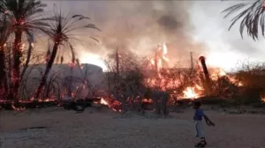 أخبار المحافظات – حريق يلتهم 150 نخلة في حضرموت