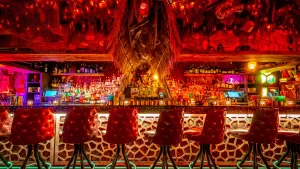 أفضل 33 بارًا في مدينة نيويورك—لأفضل مارتيني، وبيرة رخيصة، وكل شيء بينهما