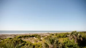 أفضل شواطئ تشارلستون لبعض البحث والتطوير