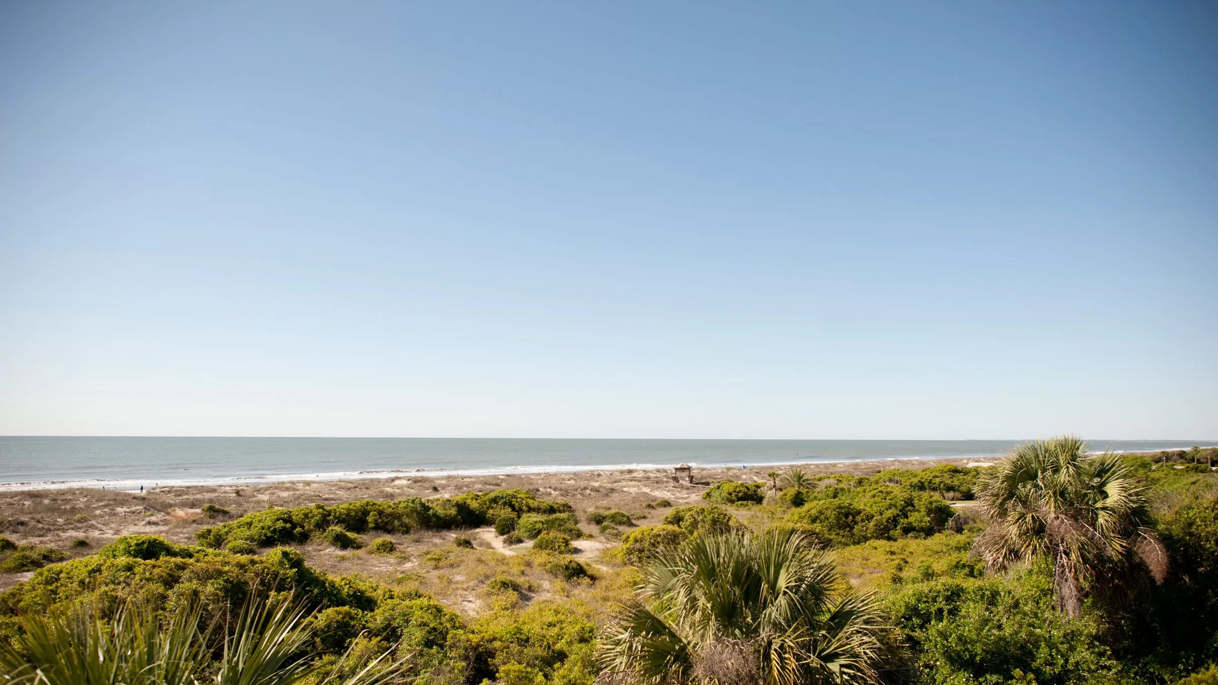 أفضل شواطئ تشارلستون لبعض البحث والتطوير