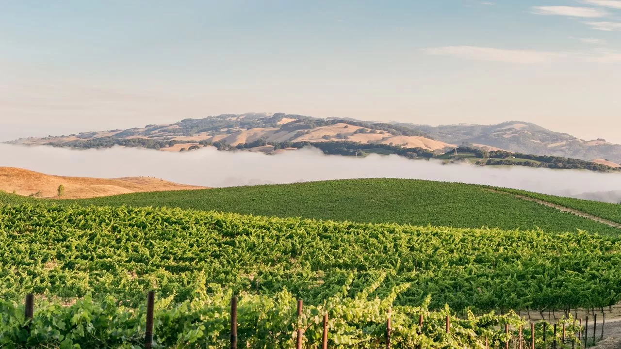 Condé Nast Traveler