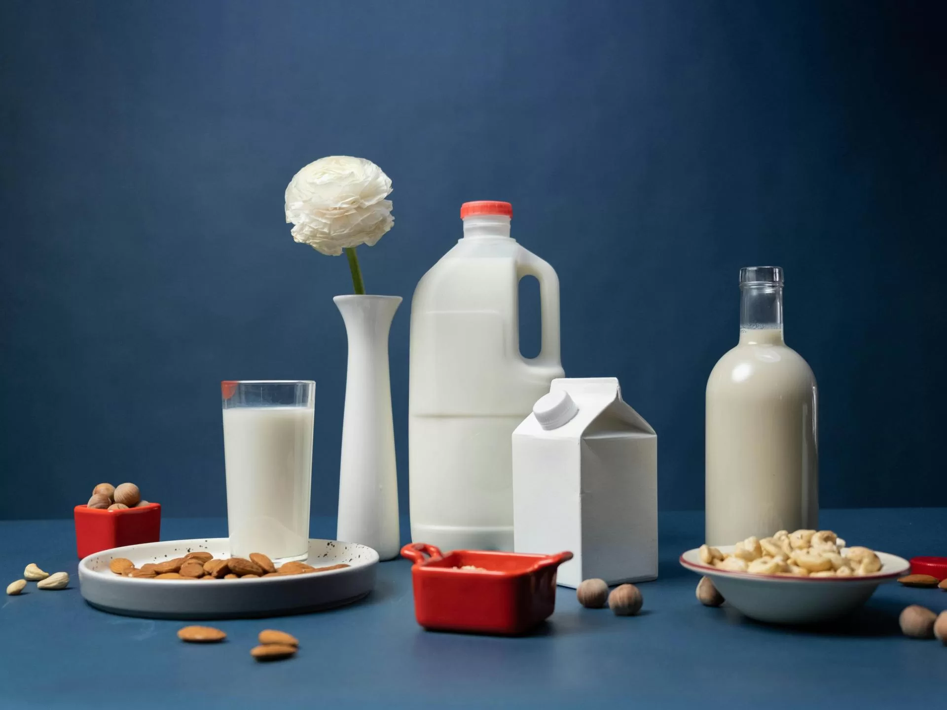 أقدم مما تتخيل.. التاريخ المثير لـ”الحليب النباتي”