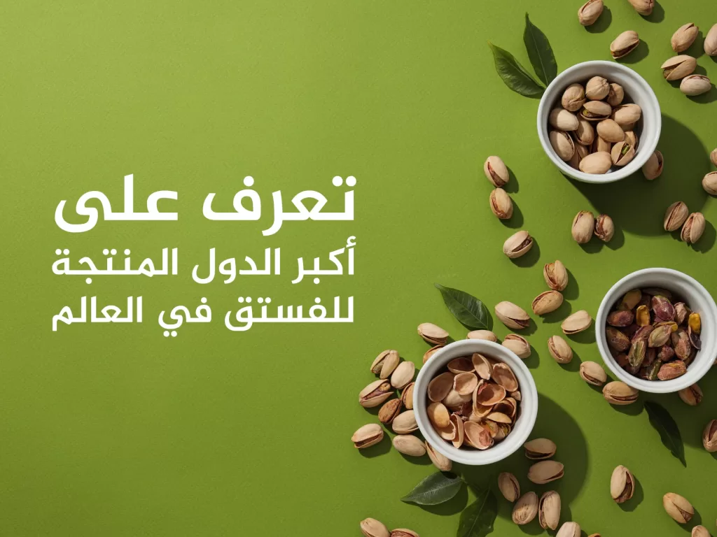 أكبر 10 دول منتجة ومصدرة للفستق في العالم بينها دولة عربية