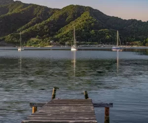 أوباما، اليابان: المدينة الساحلية اليابانية التي تنافس لجذب الزوار من خلال تجمع من السكان المحليين الودودين