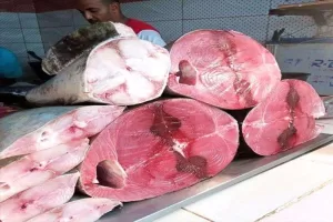اخبار عدن – زيادة أسعار الأسماك في المدينة