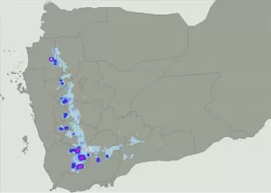 اخبار وردت الآن – حضرموت تطلق أكثر نموذج عددي دقة للتنبؤات الجوية في منطقة الشرق الأوسط