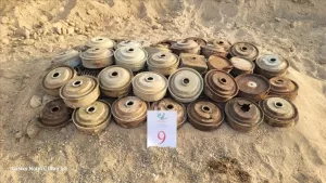 اخبار وردت الآن – مسام تقوم بتدمير 3,036 ذخيرة غير متفجرة في منطقة باب المندب