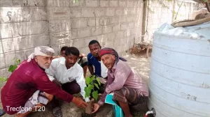 اخبار وردت الآن – مكتب البيئة يوزع نباتات جديدة على المواطنين في منطقة الشيخ عبدالله الساحلية بزنجبار