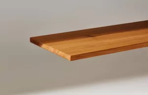 اختراع الخشب على وشك إنتاج الخشب بشكل جماعي أقوى من الصلب