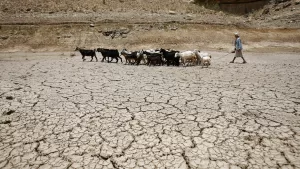 الجفاف وارتفاع درجات الحرارة والعواصف الترابية: تنبيه بشأن خطر يواجه الأمن الغذائي في اليمن بنهاية مايو – شاشوف