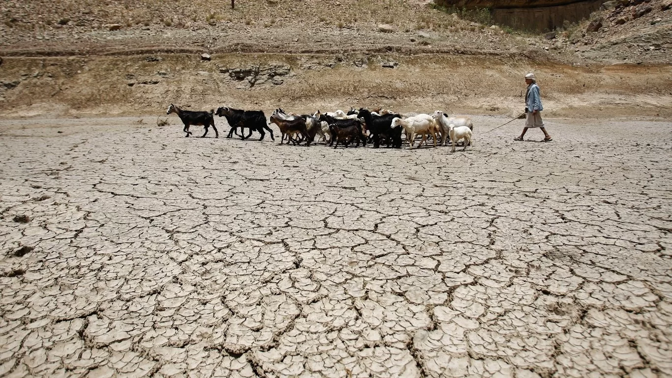 الجفاف وارتفاع درجات الحرارة والعواصف الترابية تنبيه بشأن خطر يواجه