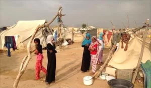 اليمن اليوم اخبار المحافظات – الهجرة الدولية: نزوح 49 أسرة خلال أسبوع