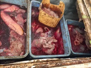 اليمن اليوم اخبار المحافظات – حملة تفتيشية تغلق عدد من مطابخ تحضير وجبات الكراش  أحشاء الأسماك  بسبب م