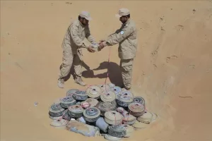 اليمن اليوم اخبار المحافظات – شبوة: مشروع مسام يتلف 600 لغم وعبوة ناسفة