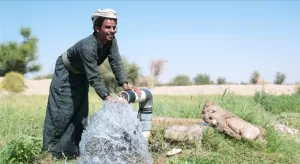 اليمن اليوم اخبار المحافظات – من حقول الموت إلى واحة للحياة.. مسام يعيد الطمأنينة لأبناء شبوة