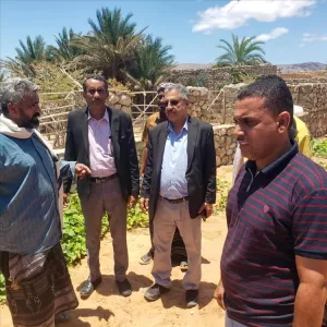 اليمن اليوم اخبار المحافظات – وكيلَا وزارة الزراعة والري يزوران مديرية قلنسية وعددًا من المناطق الزراع