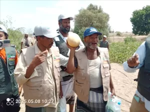 اليمن اليوم اخبار المحافظات – يوم حقلي لمحصول الشمام بمزرعة طارش العولقي في فالج عياض محافظة لحج