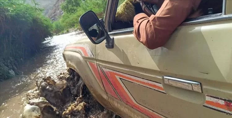 الضالع..سائق يغامر  بحياته داخل السيول الجارفة لانقاذ حياة مريض بمنطقة تورصة بالازارق