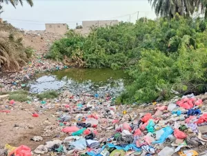 اليمن اليوم اخبار وردت الآن – أمراض، روائح، وإهمال… مستنقعات عبرلسلوم فضيحة بيئية في قلب تبن