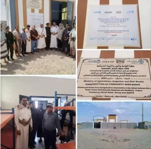 اليمن اليوم اخبار وردت الآن – برعاية وزير الزراعة ومحافظ شبوة تدشين استلام بنك البذور المواطنوني بمديرية