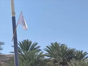 اليمن اليوم اخبار وردت الآن – ساه.. حملة توعوية لدعم مطالب حضرموت المشروعة