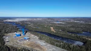 تشارك ألاموس بالوعة مع عدم وجود نتائج في التوقعات