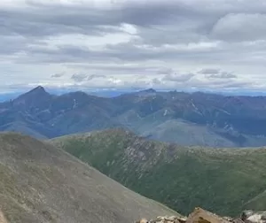 تقترح فحوصات Sitka Gold حمولة عميقة “كبيرة” في يوكون