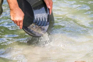 تقرير دولي مثير للقلق: زيادة الطلب على الطاقة النظيفة تعزز الجريمة والفساد