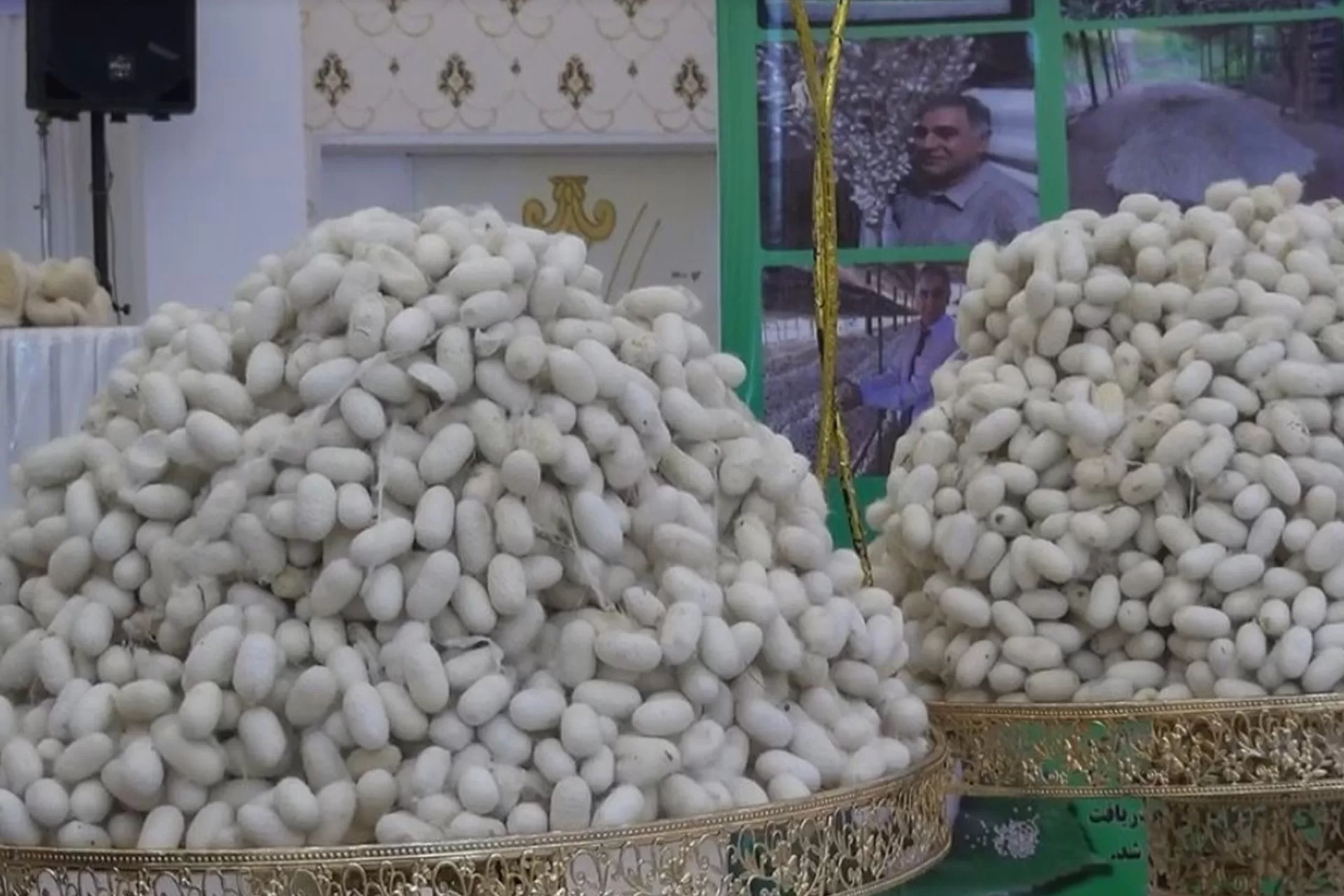 حرير الدود في أفغانستان: حرفة قديمة تُ revive رغم الصعوبات