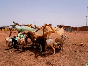 حوالي 8 ملايين شخص مشرد في أفريقيا بحلول عام 2024 نتيجة لتغير المناخ