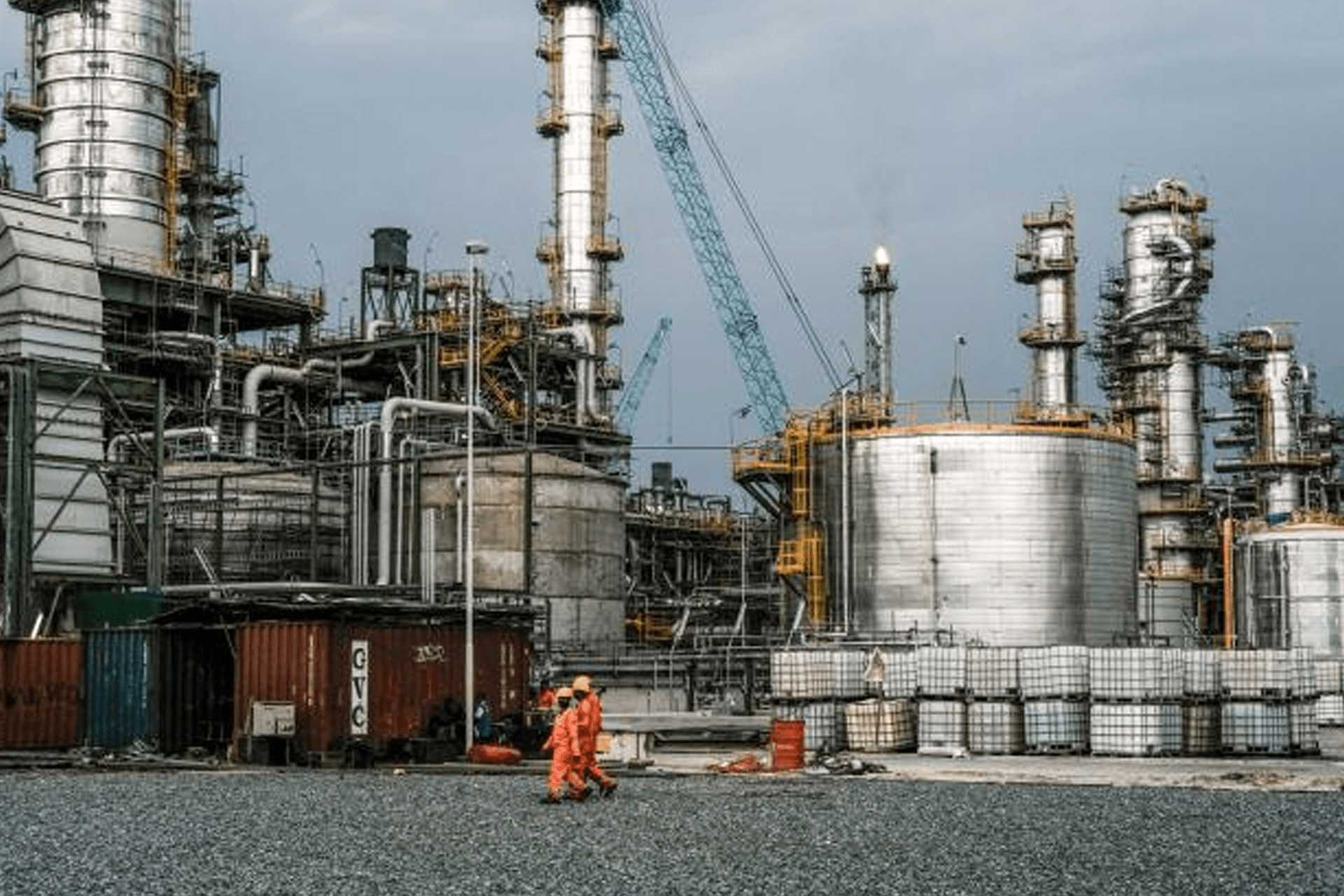 من حبوب الكاكاو إلى الشوكولاتة: رحلة التحول الصناعي في غرب إفريقيا