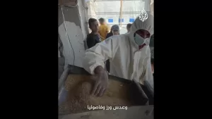 شاهد بعد نفاد الدقيق.. يضطر فلسطينيون في غزة لطحن ما تبقى من بقوليات متوفرة لصناعة الخبز