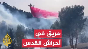 شاهد حريق كبير في أحراش القدس وإخلاء منازل قريبة