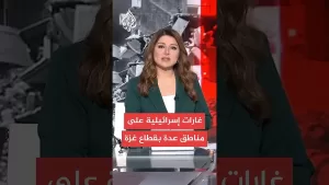 شاهد صحة غزة: 14 شهيدا في غارات إسرائيلية على مناطق عدة في قطاع غزة منذ فجر اليوم