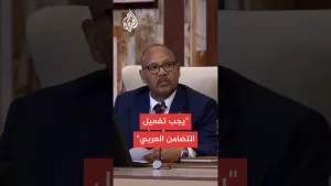شاهد نائب رئيس مجلس السيادة السوداني: نرفض أشكال التهجير والانتهاكات للشعب الفلسطيني