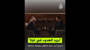 شاهد وزير الخارجية الإماراتي الشيخ عبد الله بن زايد لفوكس نيوز: نريد الهدوء في غزة