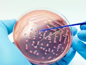 علماء روس يخترعون مادة تطلق أشعة مميتة للبكتيريا