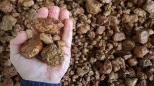 غينيا لإلغاء ترخيص تعدين البوكسيت في الإمارات العالمية