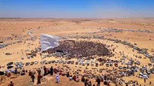 قبائل حضرموت تُؤكد على ‘الحكم الذاتي’ ودعوات رسمية لتدخل ‘التحالف’ – شاشوف